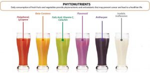 Difference between Traditional high speed juicer Vs Silent Juicer