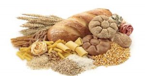 Carbohydrates- The Source of Energy