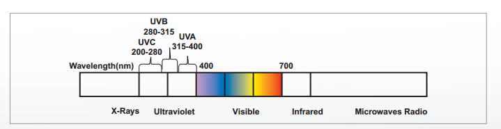 UV Process