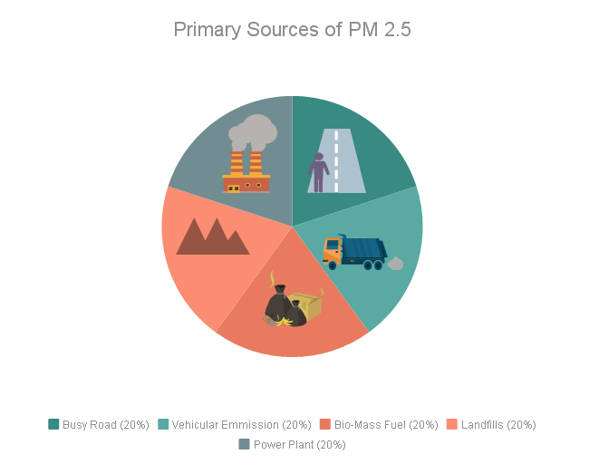 primary source of PM2.5