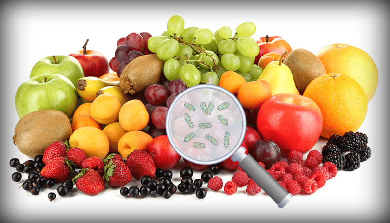 Germs in Fruits and Vegetables