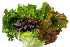 Leafy-Green-Vegetables