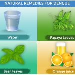 Natural Remedies for Dengue