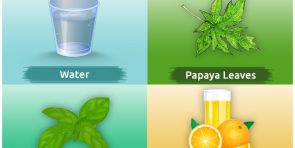 Natural Remedies for Dengue