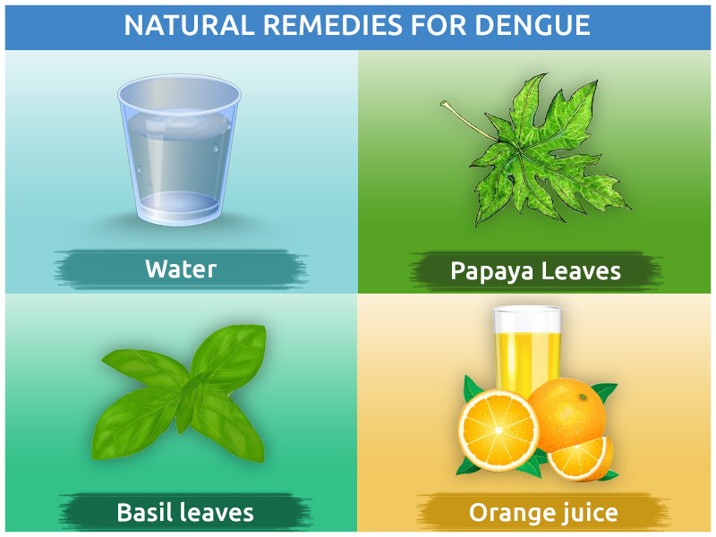 Natural Remedies for Dengue