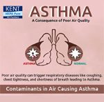 Asthma a Consequence of Poor Air Quality