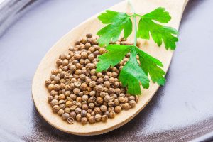 Coriander Water