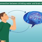 connection between dehydration and brain health