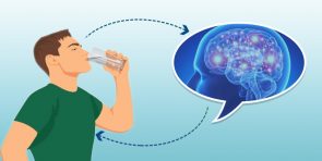 connection between dehydration and brain health