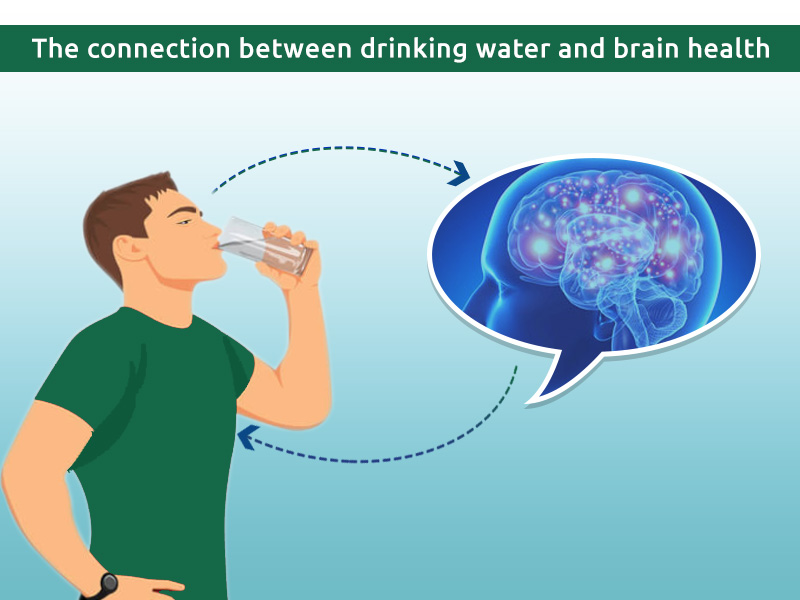 connection between dehydration and brain health