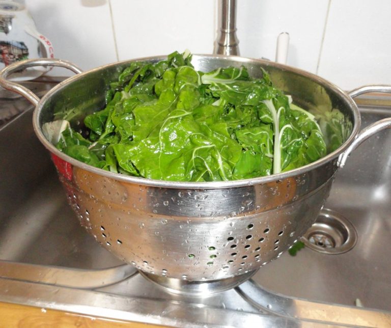 Expert Tips to Clean and Store Green Leafy Vegetables KENT Blog