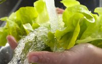 Ways to Clean Green leafy vegetables