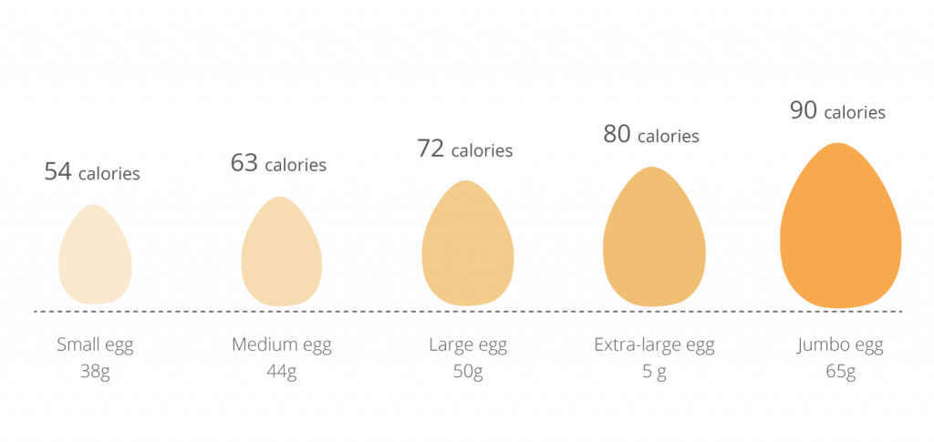 Why Hard Boiled Eggs are a Healthy Breakfast Option? – Mary Pelchat