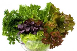 Green leafy vegetables