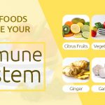 Foods to improve immune system