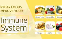 Foods to improve immune system