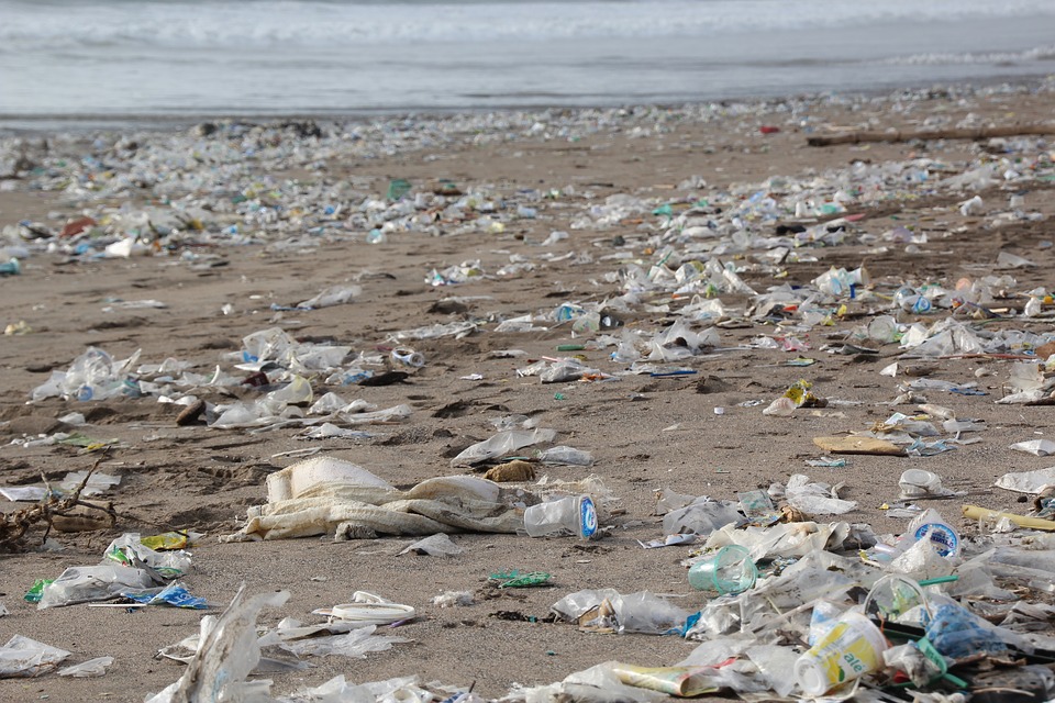 plastic pollution in the ocean 