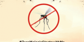 World Malaria Day 2020
