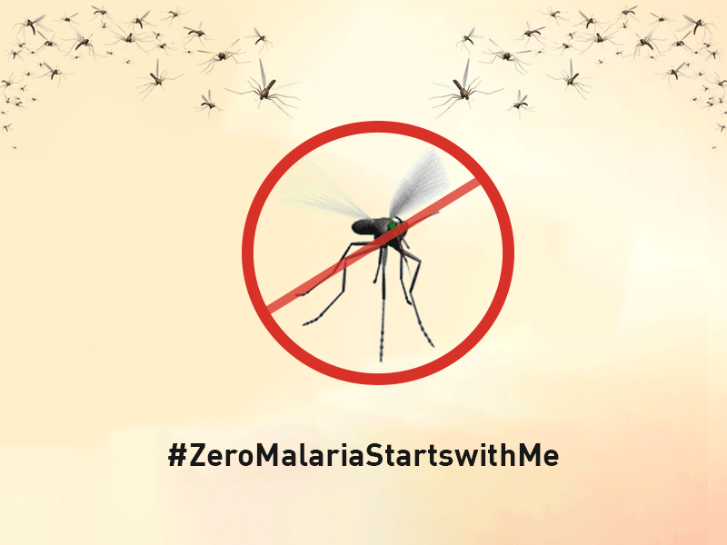 World Malaria Day 2020