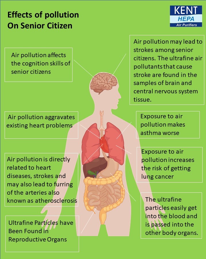 Infographic represent Impact of air pollution on human health