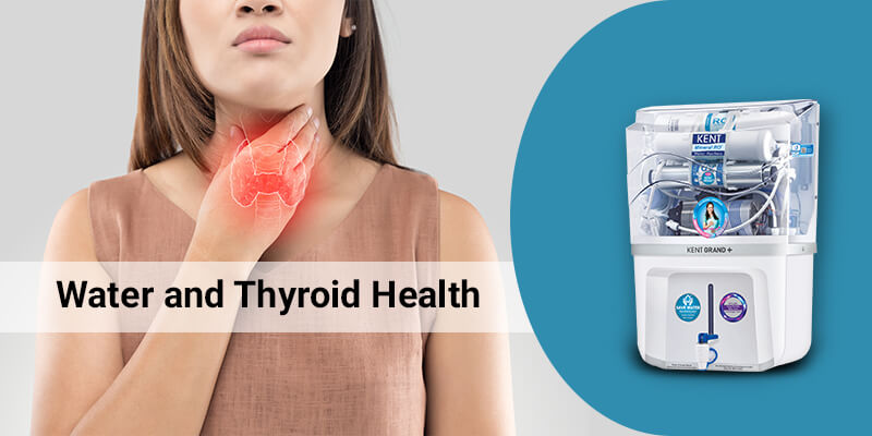 Water-and-Thyroid-Health