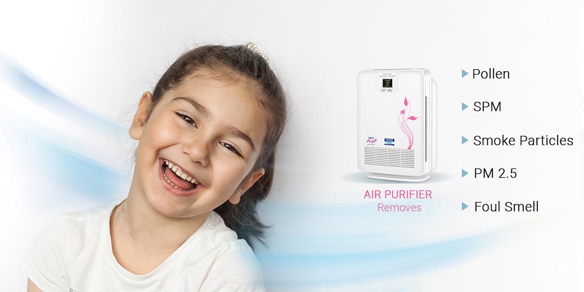Air purifier removes