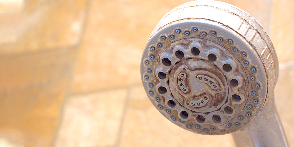 Before & After: Removing Hard Water Stains and Scale from Shower Tile