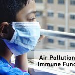 How does air pollution affect immune system