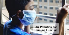 How does air pollution affect immune system
