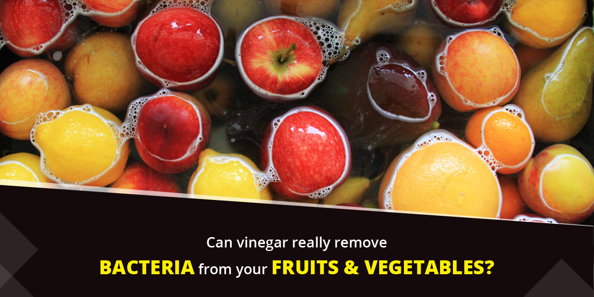 Is Vinegar Really Effective In Killing Bacteria On 