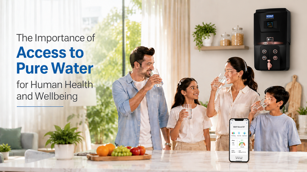 The Importance of Access to Pure Water for Human Health and Wellbeing