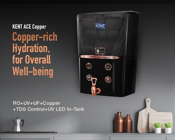 KENT Ace Copper - Staging Kent