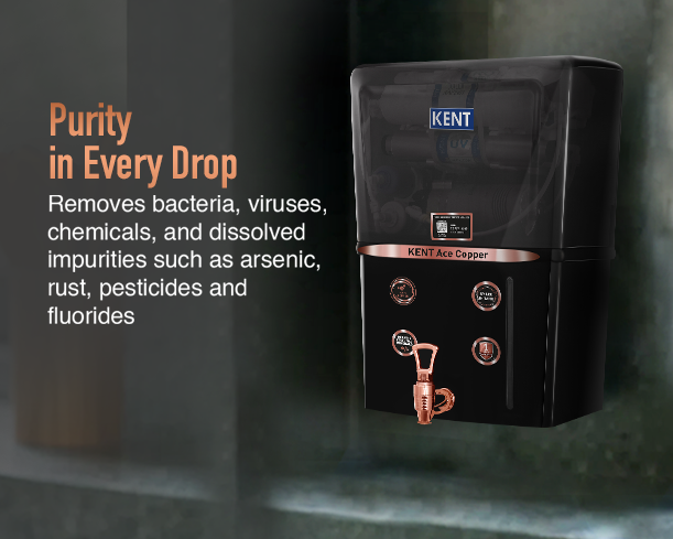 KENT Ace Copper - Staging Kent