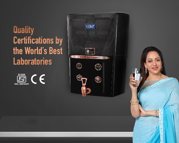 KENT Ace Copper - Staging Kent