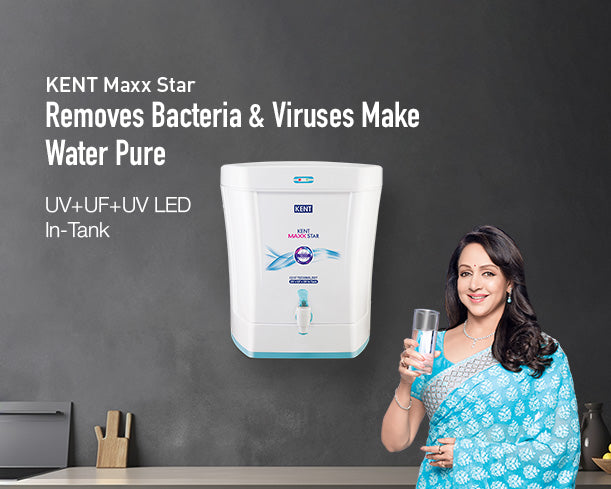 KENT Maxx Star - Staging Kent