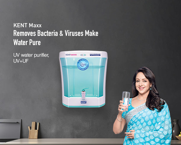 KENT Maxx - Staging Kent