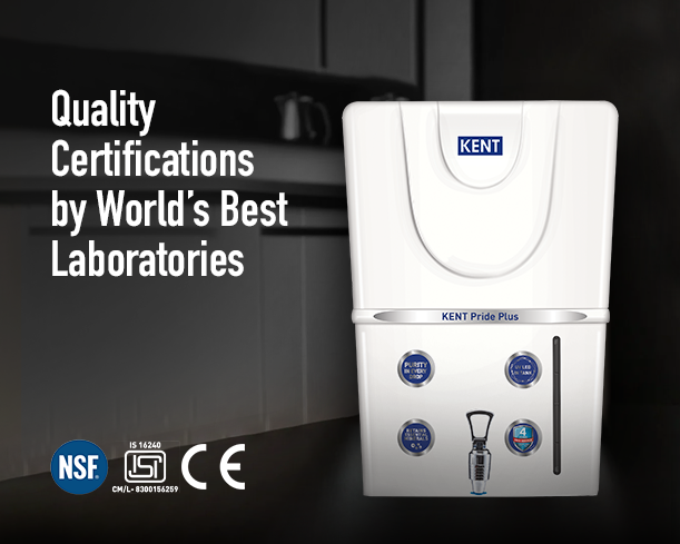 KENT Pride Plus - Staging Kent