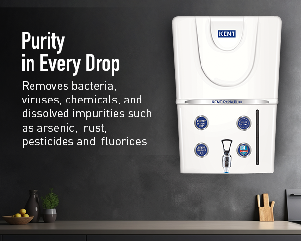 KENT Pride Plus - Staging Kent