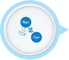 Efficient Ion-Exchange Process